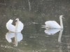 Billede 6