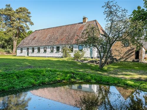 Sommerhus - 6 personer -  - Strærupvej - Helnæs - 5683 - Hårby