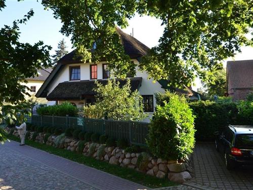 Holiday Home/Apartment - 5 persons -  - Boddenstraße - 18586 - Groß Zicker