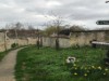 Image 25