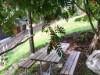Bild 16 - Ude