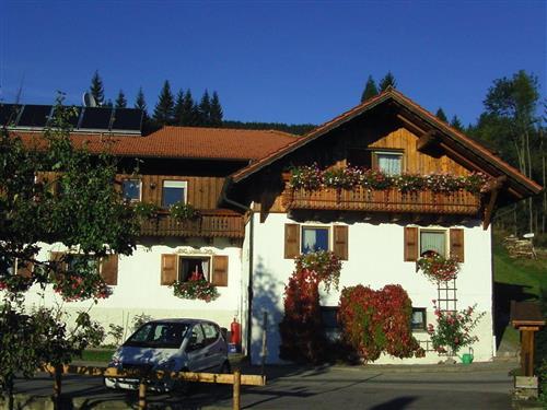 Feriehus / leilighet - 2 personer -  - Altlohberghütte - 93470 - Lohberg