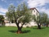 Bild 22