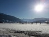 Bild 36