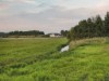 Bild 20 - Ude