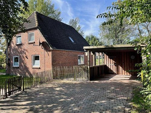 Fritidshus - 9 personer -  - Südergotteskoogweg - 25899 - Niebüll