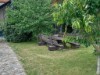 Bilde 2