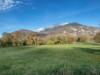 Bild 24