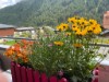 Bild 22