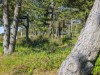 Billede 18 - Grund