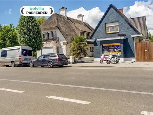 Sommerhus - 8 personer -  - 8580 - Avelgem