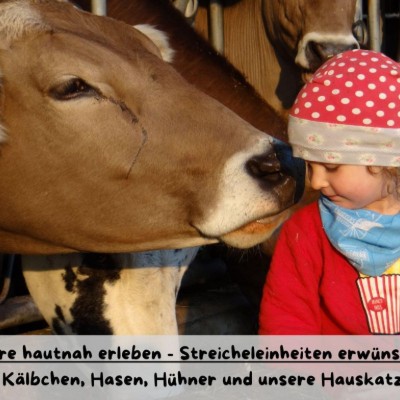 Billede 4