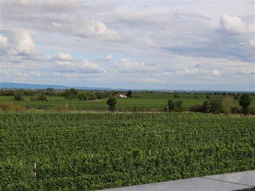 Ferielejlighed - 2 personer -  - Otto-Schmitt-Groß-Straße - 67098 - Bad Dürkheim