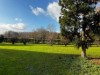 Billede 26