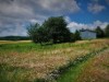 Bild 17