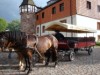 Bild 23