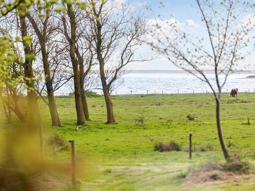 Ferienhaus - 4 Personen -  - Strandvænget - Ejerslev Lyng - 7900 - Nyköbing Mors