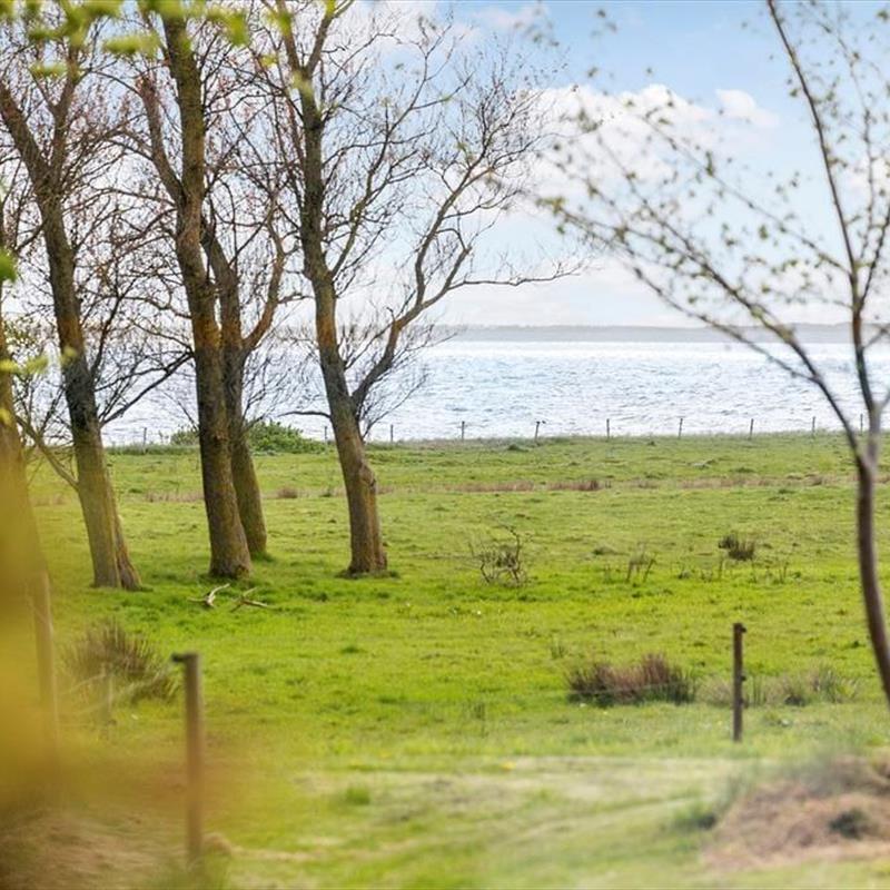 Sommerhus - 4 personer -  - Strandvænget - Ejerslev Lyng - 7900 - Nykøbing Mors