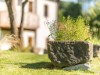Bild 12 - Ude