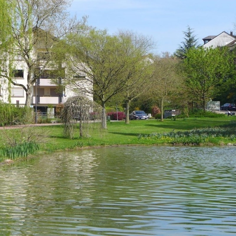 Sommerhus - 4 personer -  - 79415 - Bad Bellingen