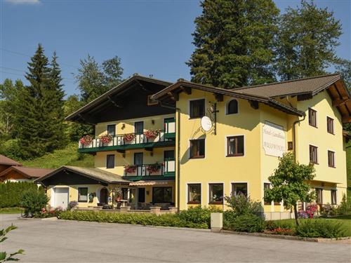 Ferielejlighed - 1 person -  - Gseng - 5442 - Rußbach - Dachstein West