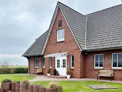 Holiday home - 6 persons -  - Holländerdeich - 25899 - Fahretoft