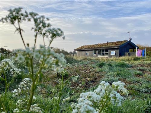 Semesterhus/Semesterlägenhet - 5 personer -  - Fyrreklitten 6, Tornby Strand - Tornby - 9850 - Hirtshals