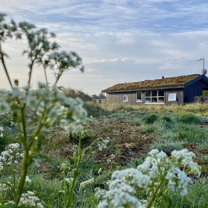 Sommerhus - 5 personer -  - Fyrreklitten 6, Tornby - Tornby - 9850 - Hirtshals