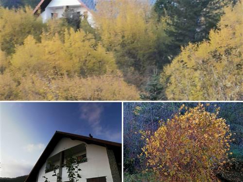 Ferielejlighed - 3 personer -  - Borzonasca - 16041