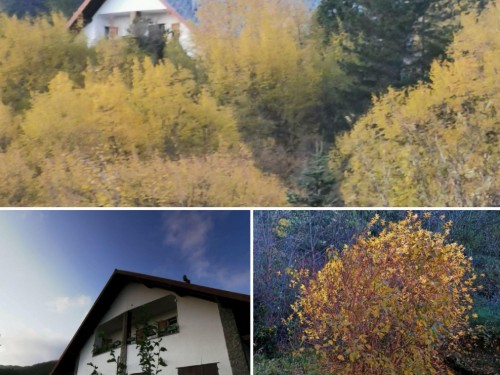 Holiday apartment - 3 persons -  - 16041 - Borzonasca