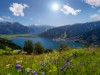 Bild 19