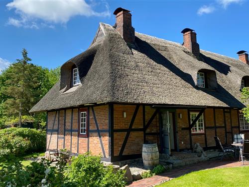 Feriehus - 4 personer -  - Hobstiner Straße - 23744 - Schönwalde Am Bungsberg