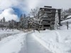 Bilde 25 - Ude