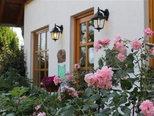 Ferielejlighed - 5 personer -  - 33034 - Brakel-Bellersen