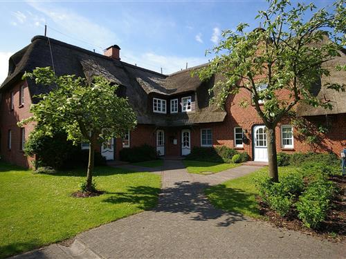 Ferieleilighet - 4 personer -  - Bi de Süd - 25938 - Nieblum