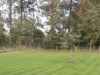Image 24