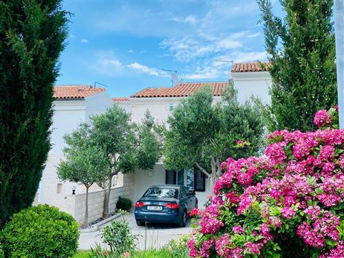 Holiday apartment - 4 persons -  - Vrilo - 21410 - Postira