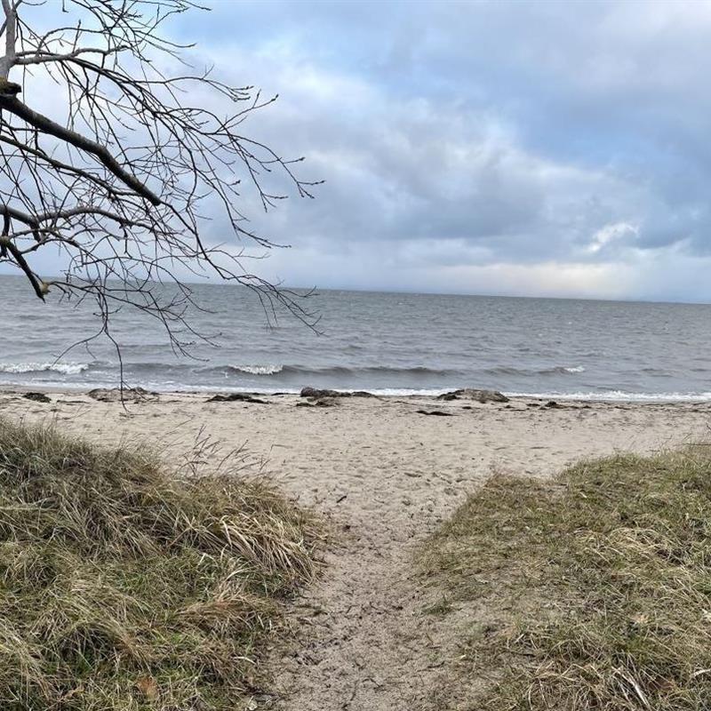 Ferielejlighed - 4 personer -  - Boddenweg - 17509 - Gahlkow