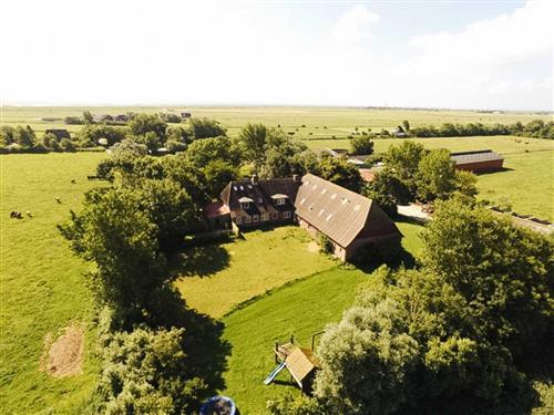 Bondegård - 4 personer -  - Ostersiel - 25849 - Pellworm