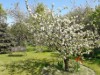 Bild 12