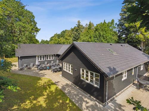 Sommerhus - 20 personer -  - Hvidbjergvej - Hvidbjerg - 7080 - Børkop