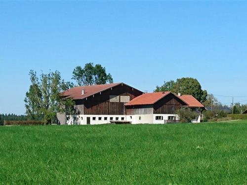 Ferienhaus - 6 Personen -  - Maderbichl - 86989 - Steingaden