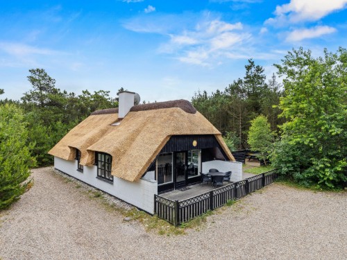 Sommerhus - 6 personer -  - Højsvej - Houstrup - 6830 - Nr. Nebel