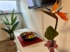 Bild 22