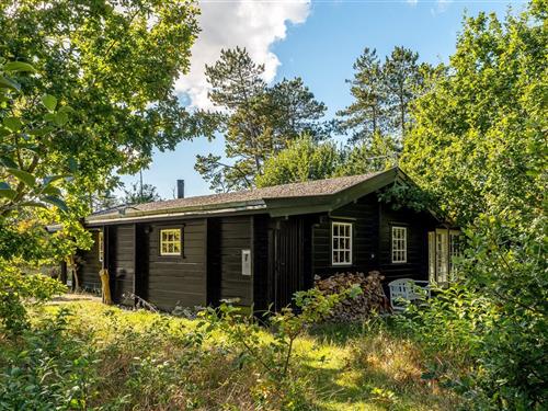 Ferienhaus - 4 Personen -  - Brushøjevej - 9982 - Aalbæk