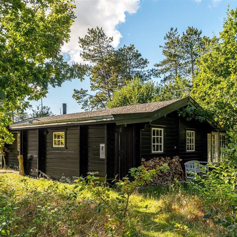 Ferienhaus - 4 Personen -  - Brushøjevej - 9982 - Aalbæk