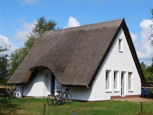 Feriehus / leilighet - 4 personer -  - Kurzer Weg zur Ostsee, idyllische Lage - 18565 - Vitte/Insel Hiddensee