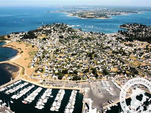 Ferieleilighet - 4 personer -  - 56640 - Arzon