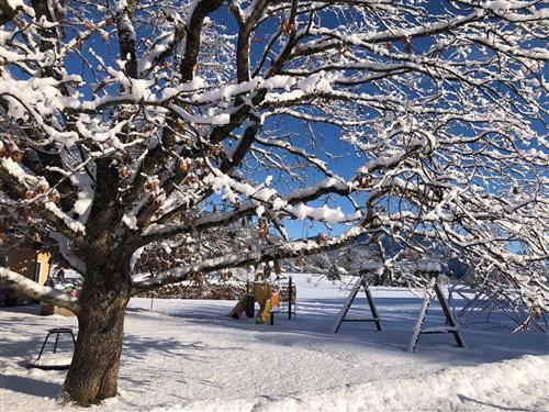 Ferielejlighed - 3 personer -  - Wolfgangseestrasse - 5350 - Strobl