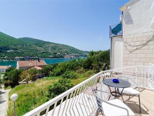 Holiday apartment - 8 persons -  - 20236 - Mokosica